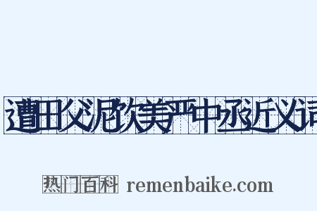 遭田父泥饮美严中丞近义词是什么意思的图片